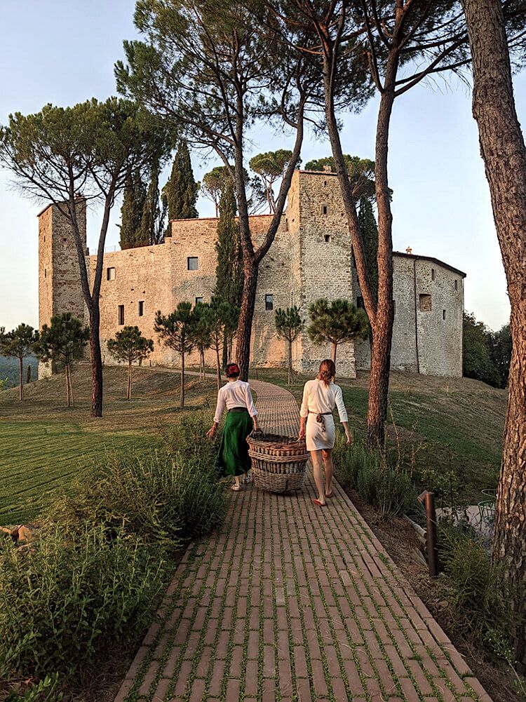 image of wine pairings for an italian restaurant